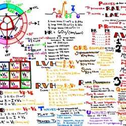 Nha ekg study guide pdf