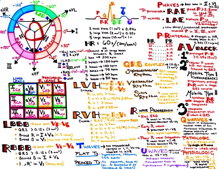 Nha ekg study guide pdf