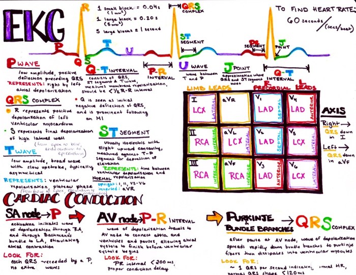 Nha ekg study guide pdf