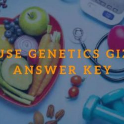 Mouse genetics gizmo assessment answer key