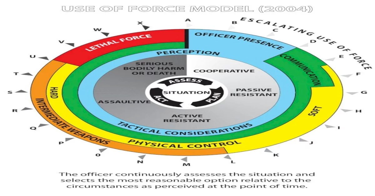 Use of force continuum michigan