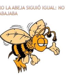 La abeja haragana in english