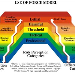 Use of force continuum michigan