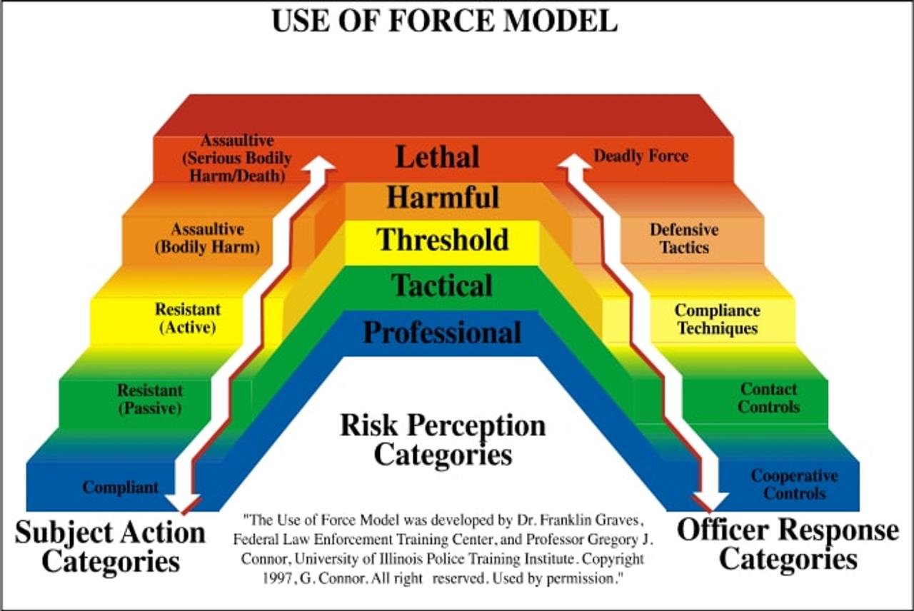 Use of force continuum michigan