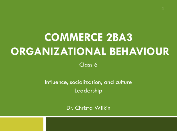 Organizational behavior version 4.0 by talya bauer and berrin erdogan