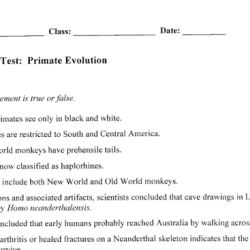 Human evolution comparing primates answer key