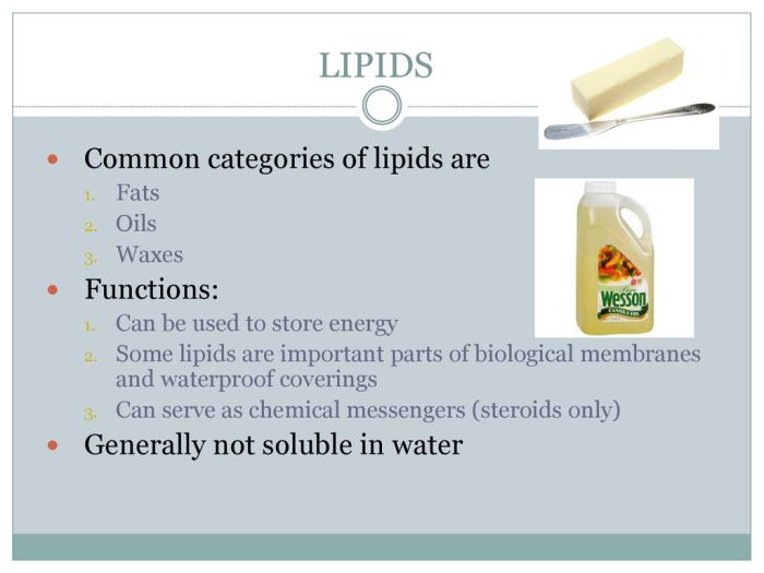 Lipids are important parts of biological membranes and waterproof coverings