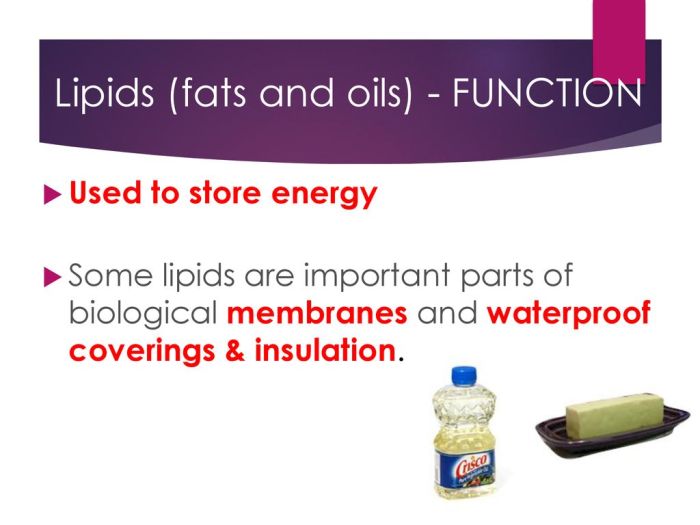 Membrane biological