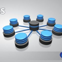 Dbms banner database management system