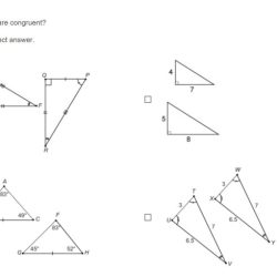 Congruent correct polygons 6m