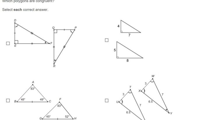 Congruent correct polygons 6m